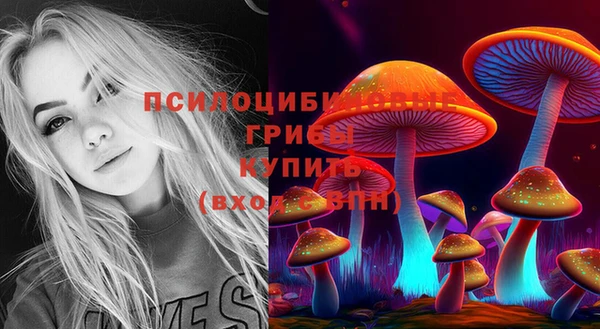 ECSTASY Зеленокумск