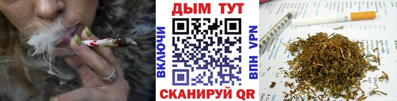 где продают   Венёв  Канабис THC 21% 